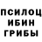 Галлюциногенные грибы мицелий Hajime Makunouchi