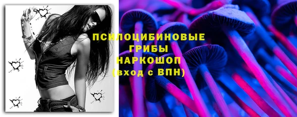 трава Балахна